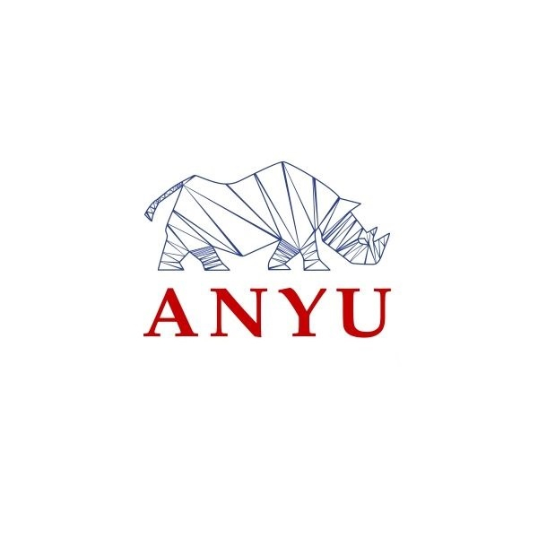 ANYU Corporation